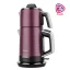 آبمیوه گیر حرفه ای بومن چند کاره PDJ 1201 DS